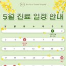 리페이스치과병원 네이버블로그