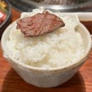 노미목장 이미지