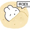주문진메밀막국수 이미지
