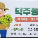 덕주농장 네이버블로그