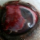 삼성종합동물병원 이미지