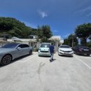 셀레네동물병원 이미지