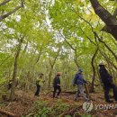 제주삼다수화성