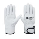 모닝글러브 이미지