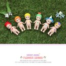 엔젤플라워 이미지