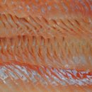 대천터미널 이미지