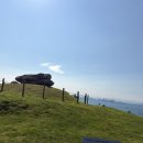 포항 연오랑세오녀테마공원 후기/ 강아지랑 산책다녀오기 좋아요