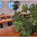 메이트힐로스터리카페 이미지