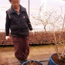 천보산농장 이미지