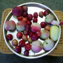 한우물농장 이미지