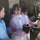 송풍초,용담중 이미지