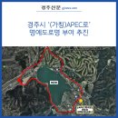 APEC로 이미지