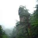 오대산휴게소 이미지