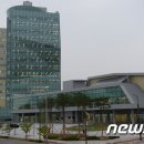 한국명품산삼 이미지