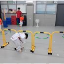 태비 태권도 이미지