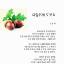 다람쥐신발 이미지