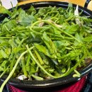 이마트24 은평진흥로점 | [서울/은평] 등촌샤브칼국수 역촌점_은평구 샤브샤브맛집추천_응암이마트추천