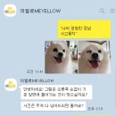 미엘로 - 고양시 일산동구 중앙로 1206 | 미엘로