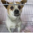 학감대로 이미지