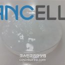 에이엔