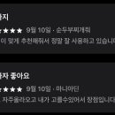 가자인력 티스토리