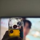 원비어 버드오브프레이 맛있는 논알콜 IPA 맥주 후기