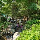 맑은계곡펜션 이미지