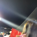 호랑이버거 이미지