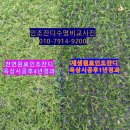 잔디랜드 이미지