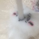 금은빵 이미지