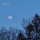 부영공원(월산근린공원) 이미지