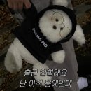 수원-0958 | 빵구네 닭발 수원 파장동 맛집 수원 닭발 후기