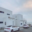 비발디나인풀빌라 이미지