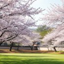 도개파크골프장 화장실(A코스 앞, 수거식) | 구미 도개파크골프장 예약하기 방법 홈페이지 전화번호 주소 요금