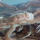 후포농장 이미지