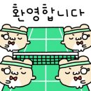 노원실내테니스레슨