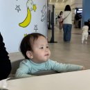 부산과학관 1층 | 부산 기장 국립부산과학관 실내 아이랑 식당, 수유실, 주차장, 푸드코트 후기