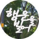 인천광역시 월미공원사업소 월미구장 | 인천 ‘월미공원 무장애나눔길’ 과 월미산 정상 2025년 8월 10일