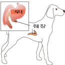 안양비산동물병원 이미지