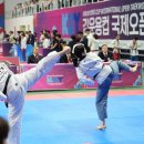 국제고려태권도 이미지