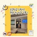 샤일리안과의원 네이버블로그