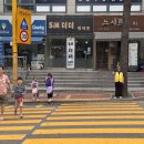 소일초 이미지
