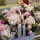 모세마취통증의학과의원 이미지