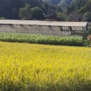 송함농장 이미지