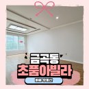 금곡공인중개사사무소 | 금곡동 빌라 1억 4,300만 원 급매!