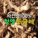 둥굴레펜션 이미지