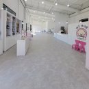 댕글라이프 이미지