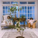 곽지 1645 이미지