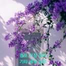 모심 이미지