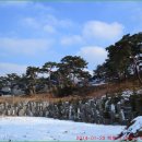 청송심씨 묘역靑松沈氏 墓域 | 영산군 이전 묘역(寧山君 李恮 墓域)